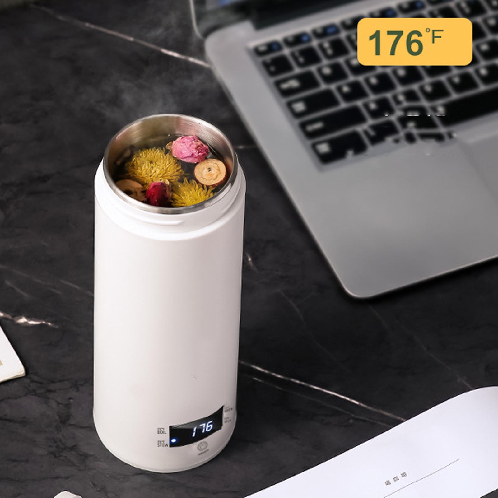 Mini Portable Electric Kettle  - Electric Kettle Temperature Control review and price